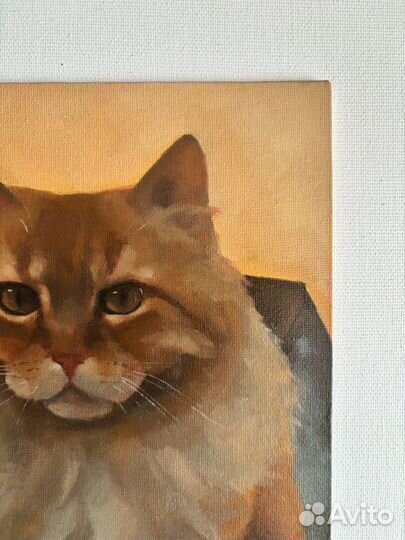 Рыжий котик. Картина маслом