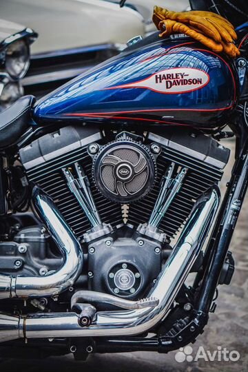 Harley davidson street bob