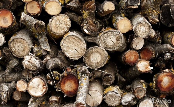 Дрова ольха осина береза