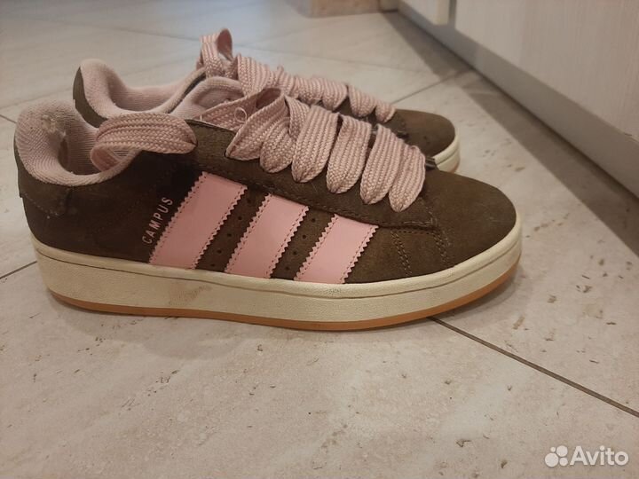 Adidas campus красовки