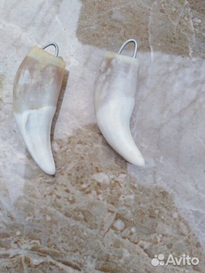 Клыки для медалей