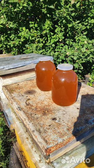 Мед цветочный