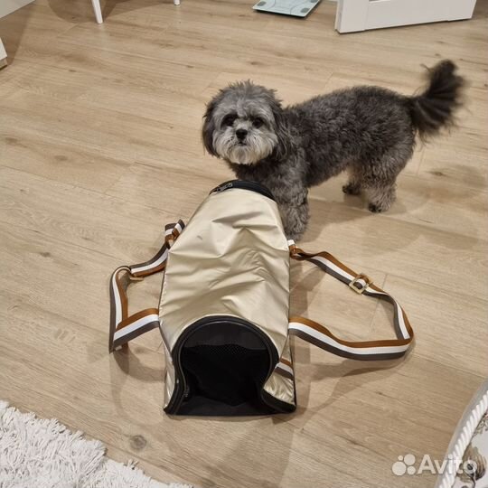 Переноска для собак в самолет