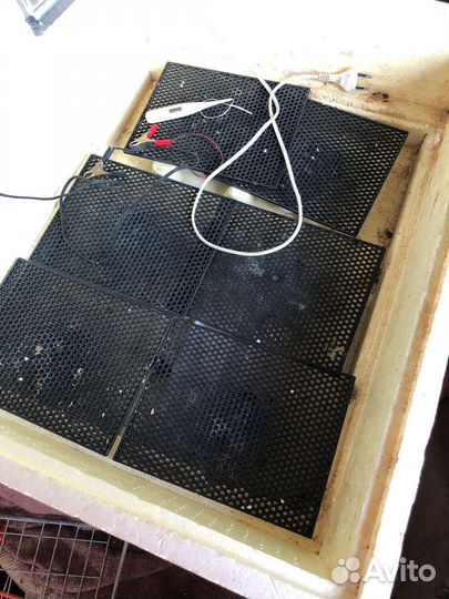 Инкубатор для яиц