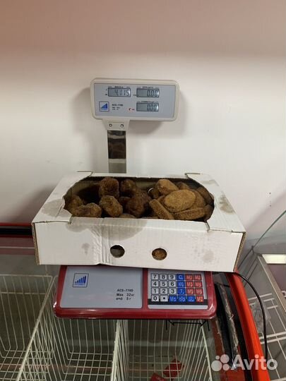 Весы электронные