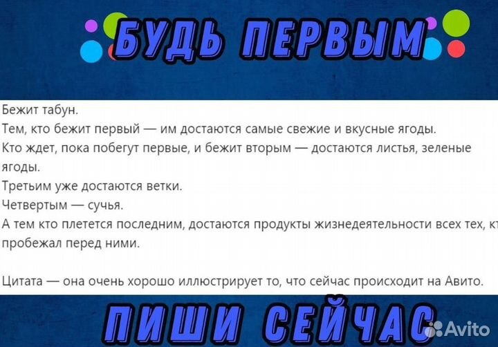 Авитолог. Специалист по Авито. Услуги авитолога