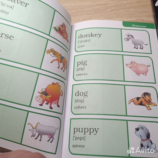 Книга Мой первый иллюстрированный словарь