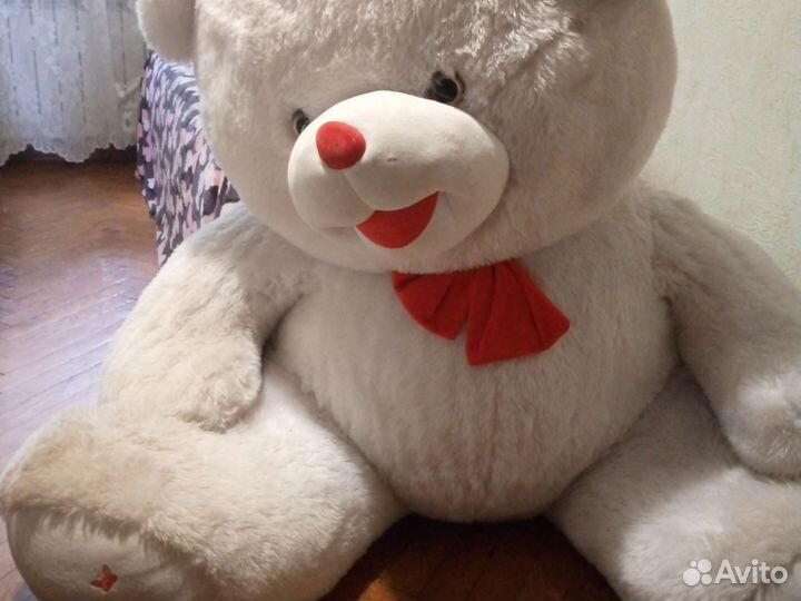 Большие плюшевые медведи Бесплатно