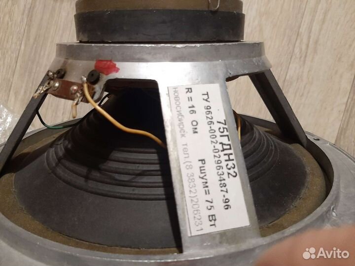 Динамики 75 гдн 3-2