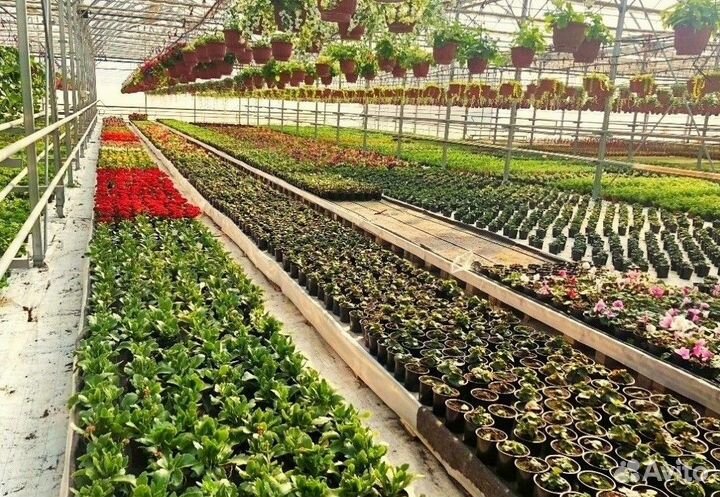 Теплица из поликарбоната