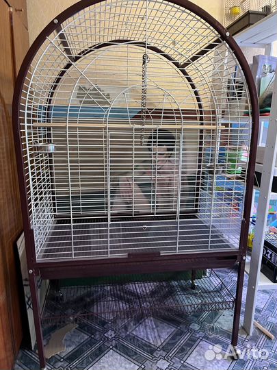 Вольер для попугая