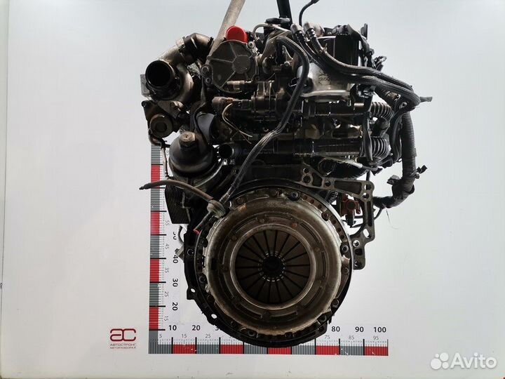 Двигатель (двс) для Ford Focus 2