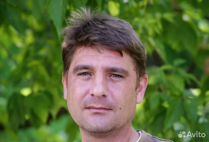Заборы, Откатные ворота, Теплицы, Навесы, Калитки