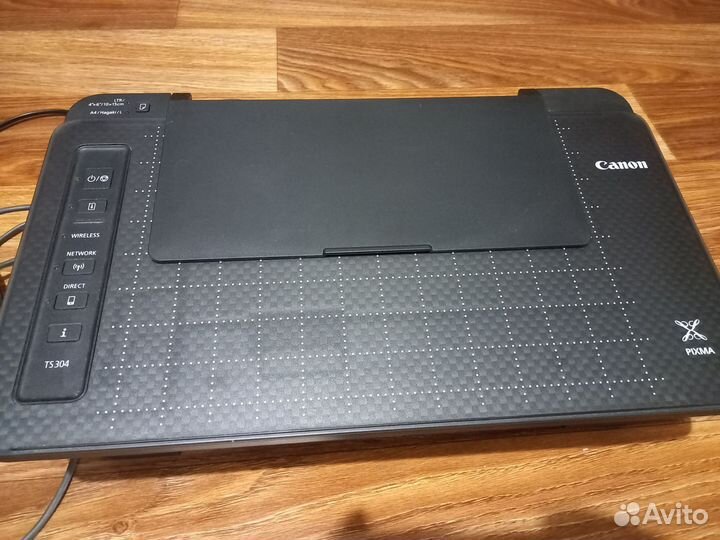 Принтер Canon pixma TS304цветной