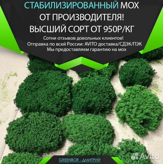 Вечно зеленый мох для декора кашпо спилы рейка