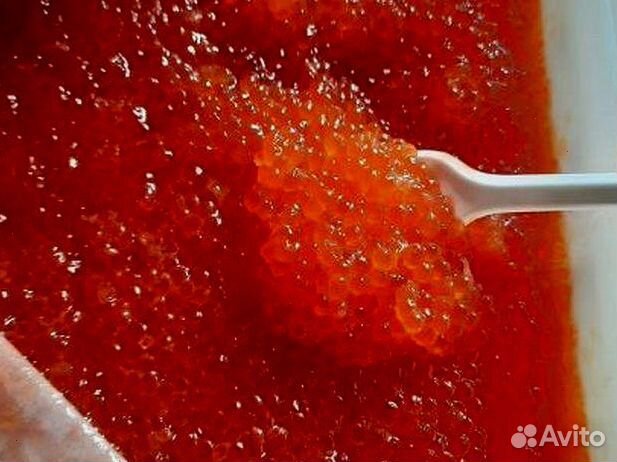 Красная икра лососевых