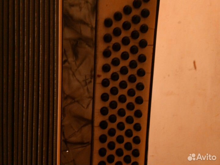 Баян weltmeister