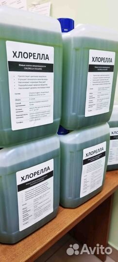 Хлорелла для водоёмов