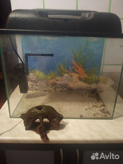 Аквариум
