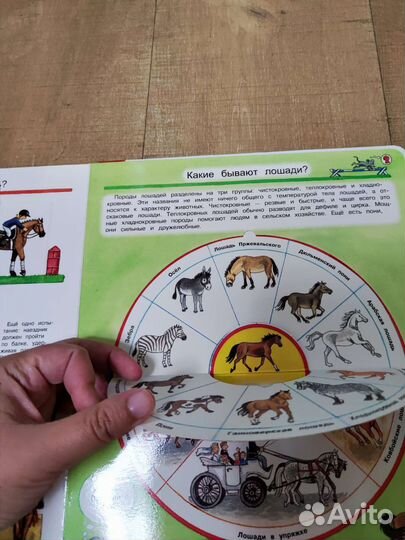 Книги для детей пакетом