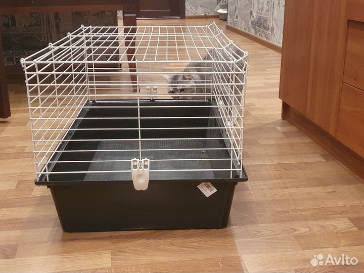 Клетка для декоративного кролика