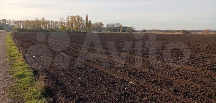 Участок 8 га (СНТ, ДНП)