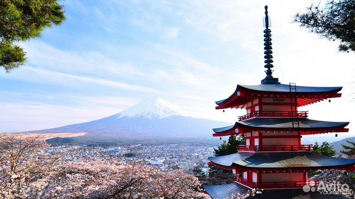 Виза Китай, Виза США, Виза Шенген