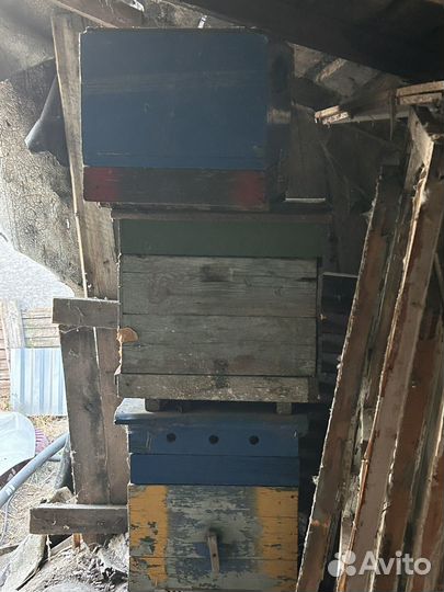 Улики дадановские