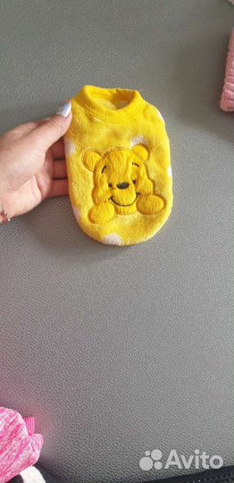 Одежда для собак и кошек