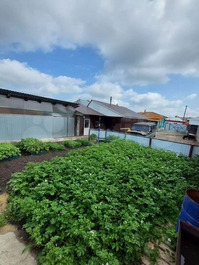 Дом 50,2 м² на участке 5 сот.