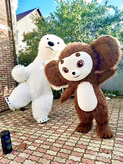 Поздравление от белого мишки и чебурашки