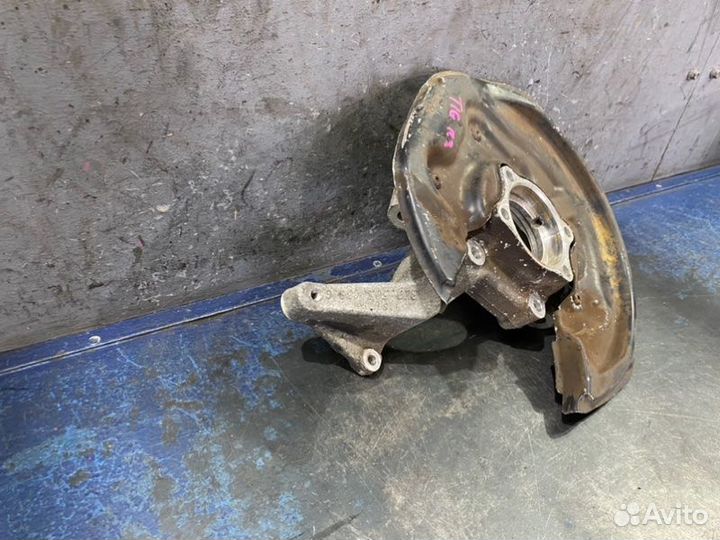 Цапфа задняя правая Volkswagen Tiguan NF