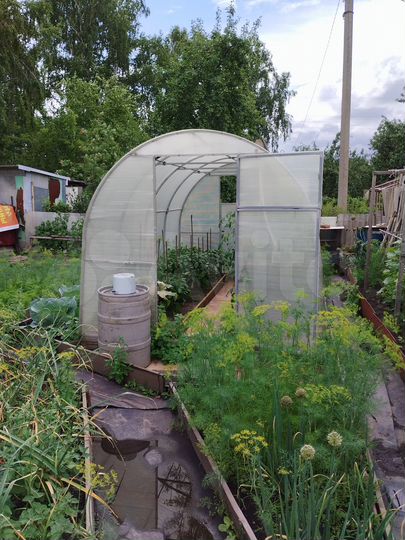 Участок 2,4 сот. (СНТ, ДНП)