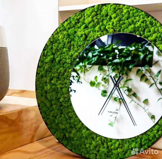 Мох стабилизированный ягель на зеркале