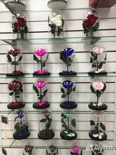 Живые розы в колбе