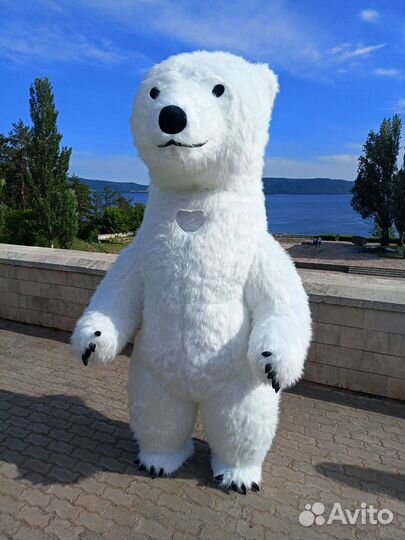 Поздравление от Белого мишки и компании