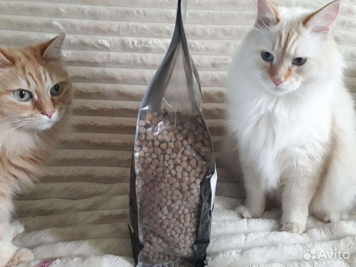 Корм для кошек