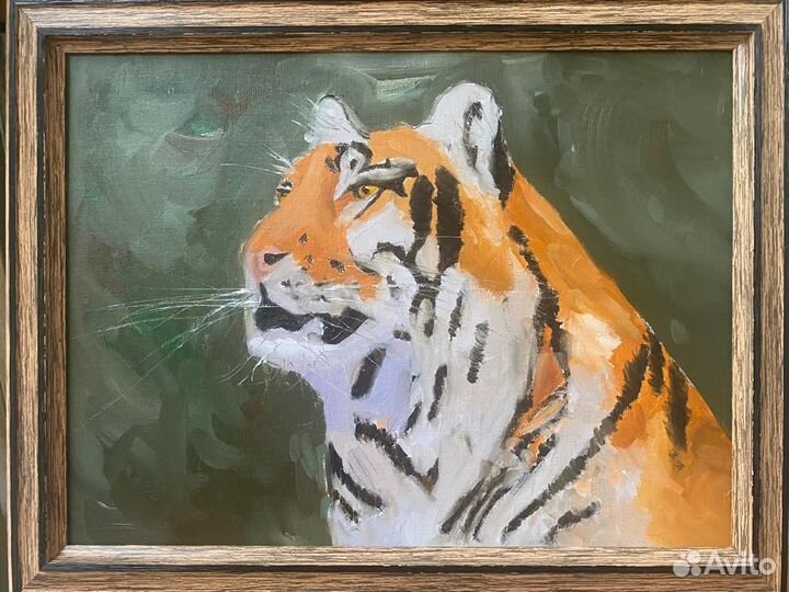 Картина Тигр. Масло 46см х 36см