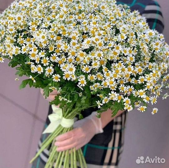 Ромашки букет