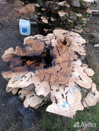 Вековые слэбы /суфели кавказского граба