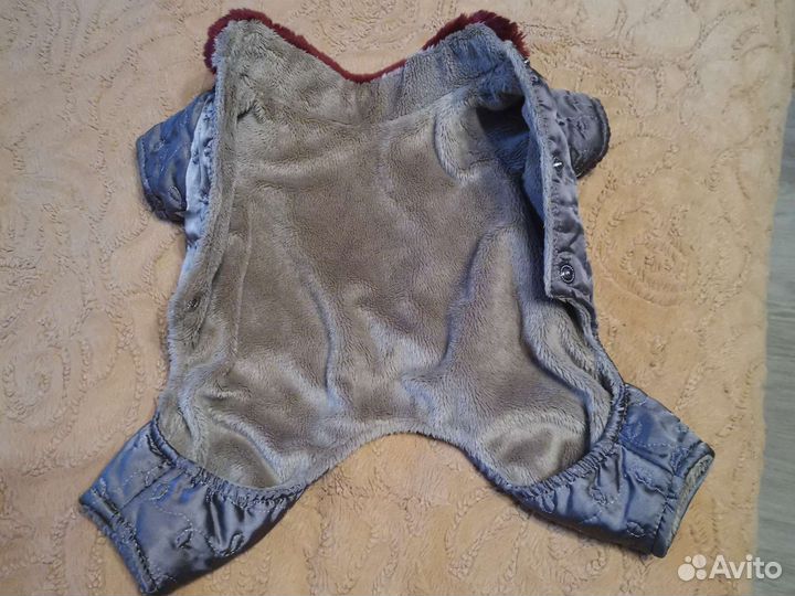 Продаю курточку для маленьких собачек