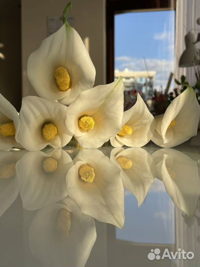 Цветы каллы ручной работы из холодного фарфора