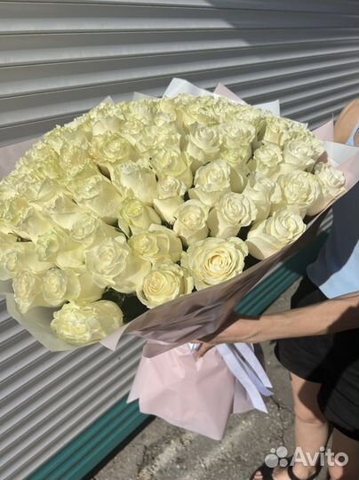 Розы Опт Крым Эквадор