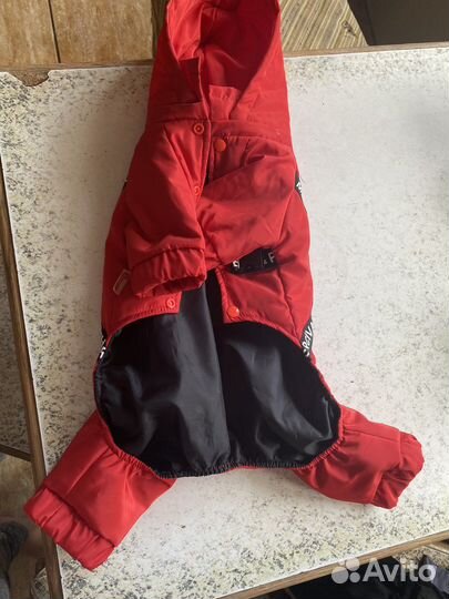 Комбинезон для небольшой собаки