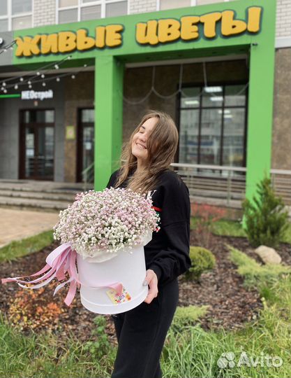 Коробка с гипсофилой