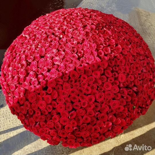 1001 роза 101 роза 501 роза Цветы Доставка