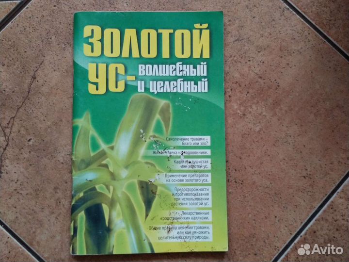 Тещин язык,золотой ус