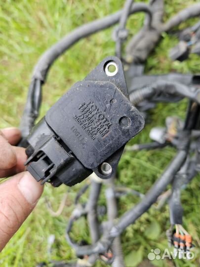 Коса подкапотная Toyota Camry 30 2A-ZFE 2004 г