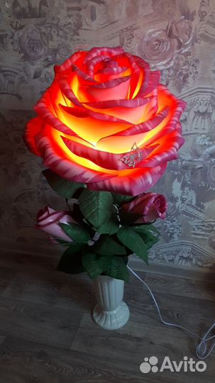 Роза горит