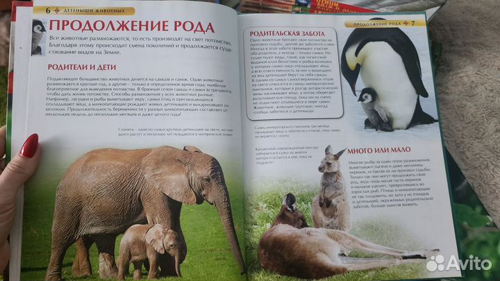 Энциклопедия для детей